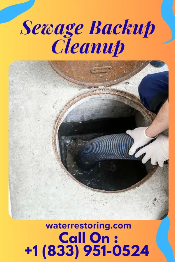 Sewage Backup Cleanup in Sand Pillow, WI