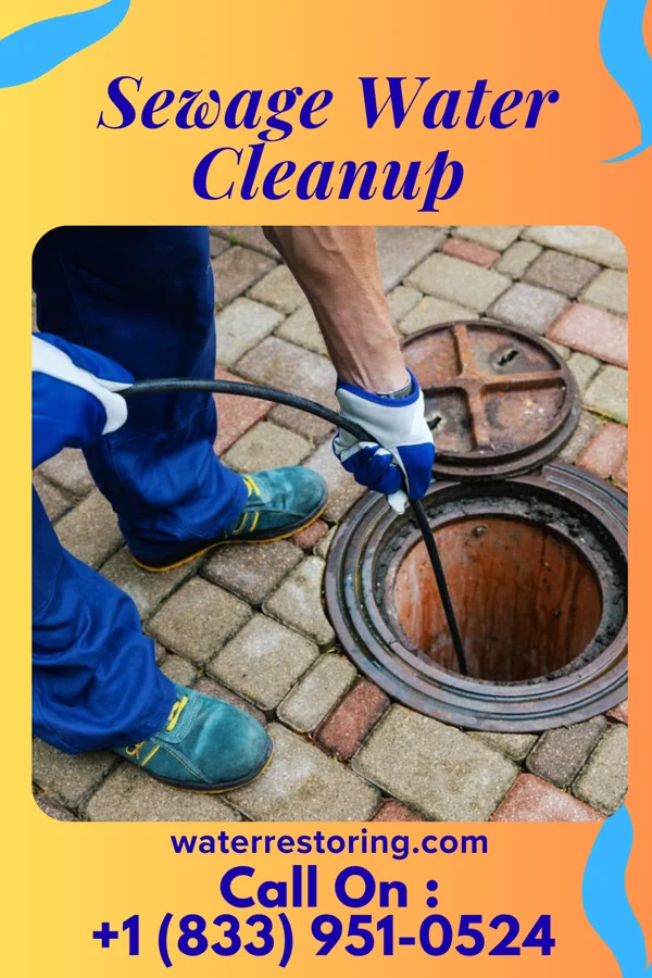 Sewage Water Cleanup in Sand Pillow, WI